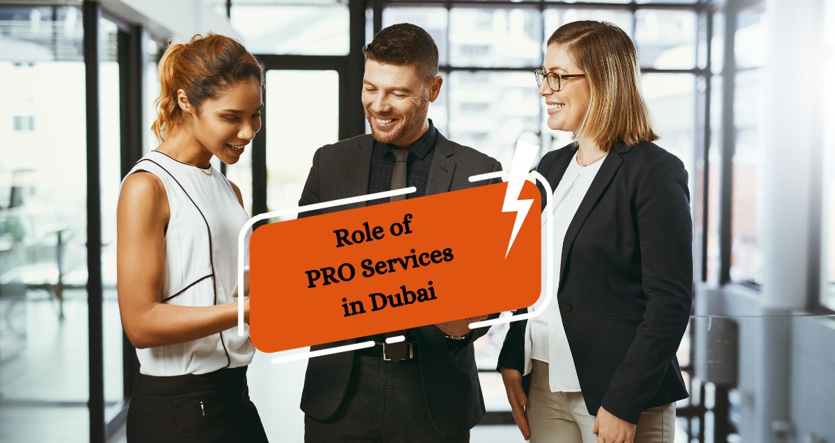 Read more about the article Why Pro Services In Dubai Matter for Your Business