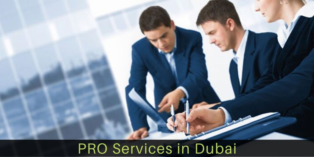 Optimize Business with Pro Services in Dubai