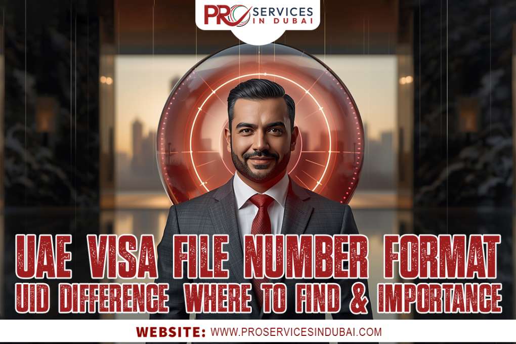 UAE Visa File Number 2025: Format, UID Difference, Where to Find & Importance