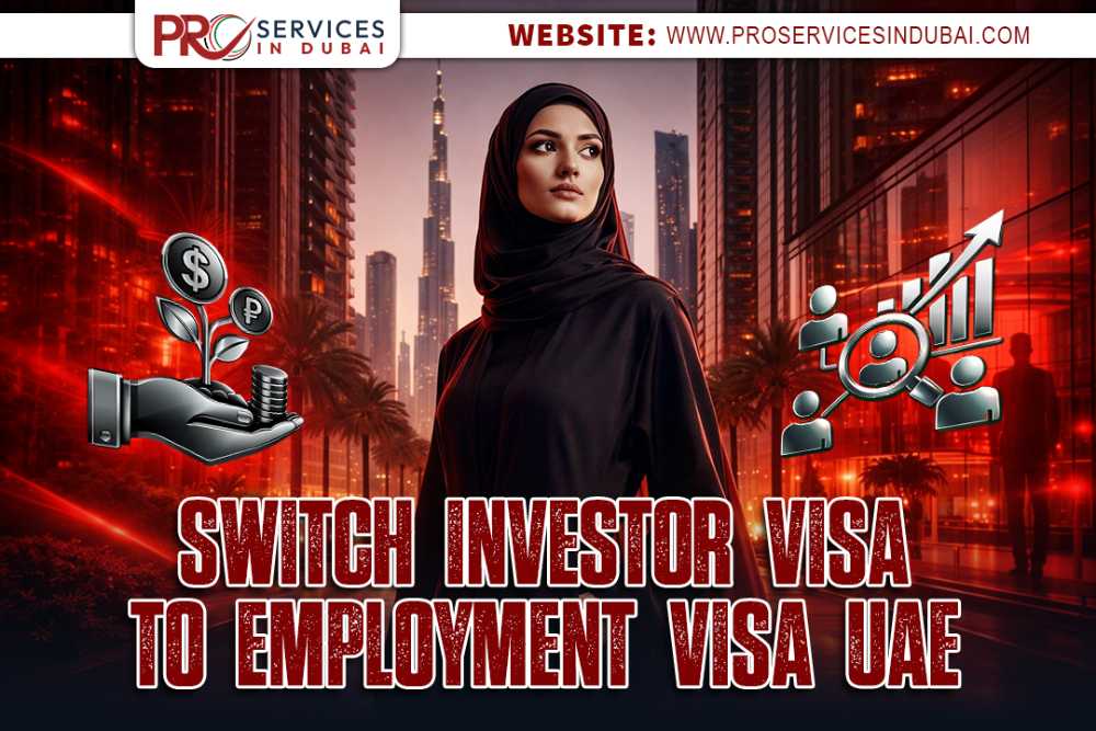 Investor Visa to Employment Visa