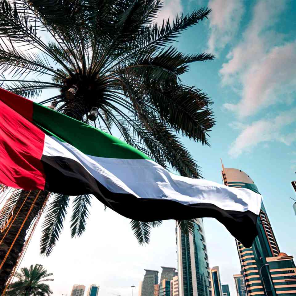 PRO Offshore Jebel Ali 2