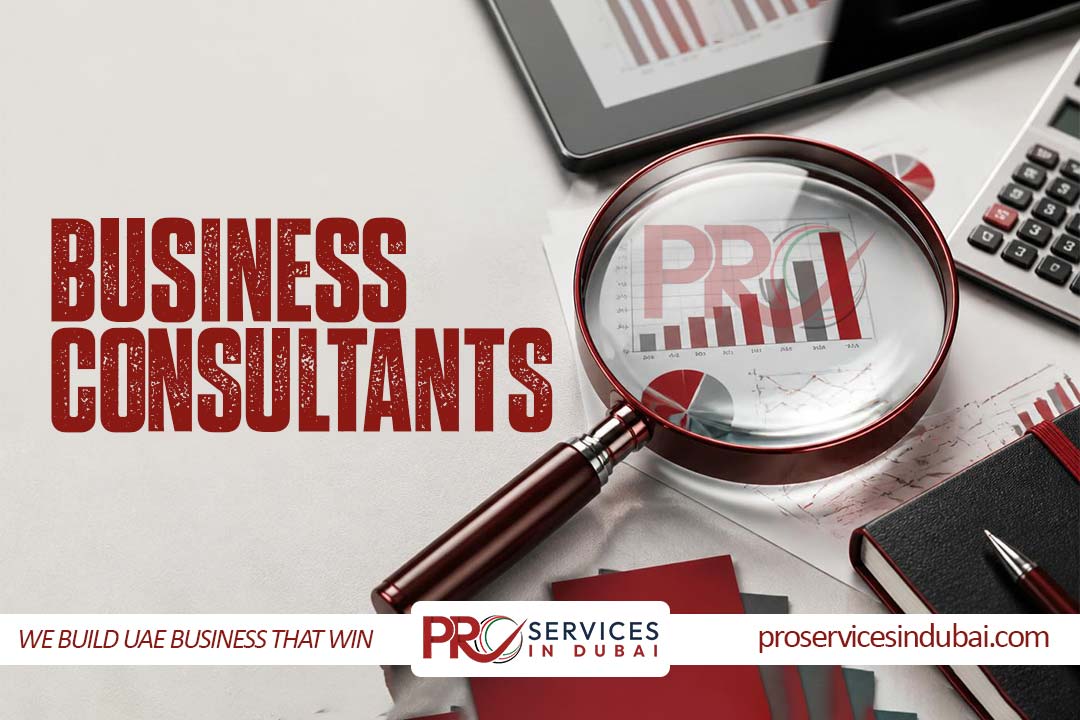 Business Consultant.